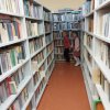 KOTKI w bibliotece